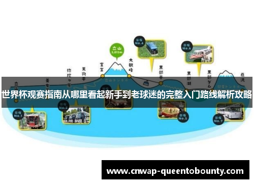 世界杯观赛指南从哪里看起新手到老球迷的完整入门路线解析攻略