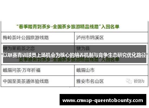 以联赛青训球员上场机会为核心的培养机制与竞争生态研究优化路径 以联赛青训球员上场机会为核心的培养机制与竞争生态研究优化路径