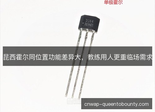 昆西霍尔同位置功能差异大，教练用人更重临场需求